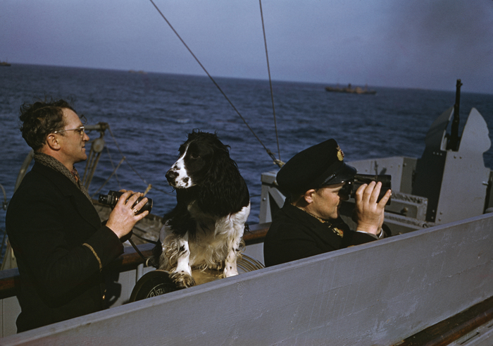 two men and a dog